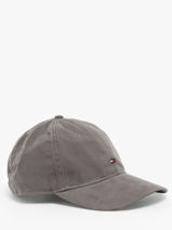 Pet Tommy hilfiger Grijs essential flag AM12531-vue-porte