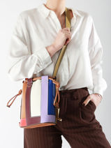 Bucket Bag S Elles Tutti Frutti Leder Lancel Veelkleurig elles A13399-vue-porte