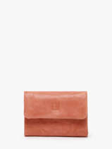 Portefeuille Leder Biba Bruin wallet TOT1L