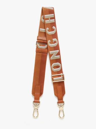 Longchamp Bandoulire ombre Juwelen Groen