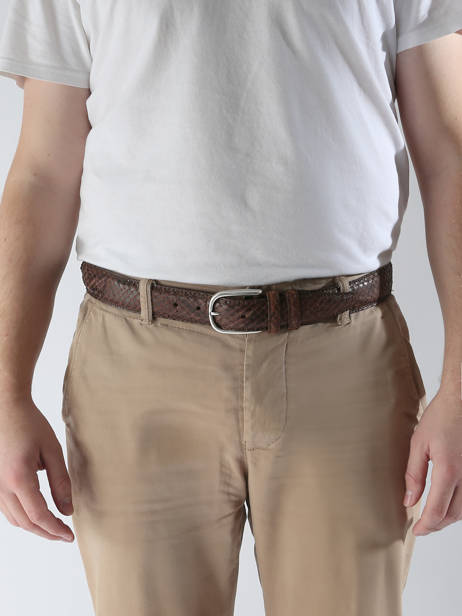 Riem Etrier Bruin bride EBRI711C ander zicht 1