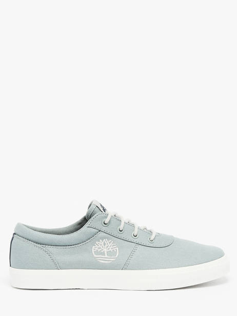 Sneakers Timberland Blauw men 42D7ETS1