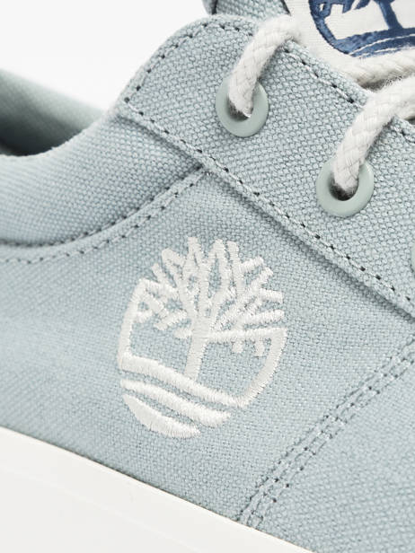 Sneakers Timberland Blauw men 42D7ETS1 ander zicht 3